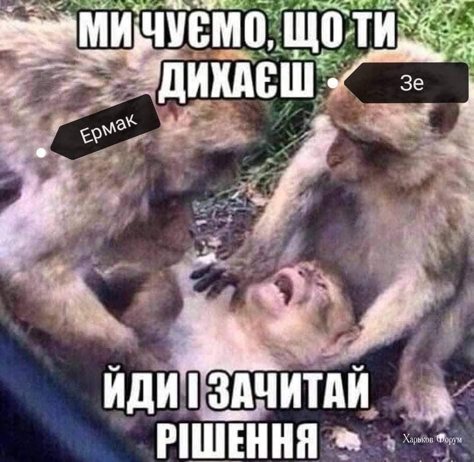 cf25ea9c348c68ddacf50.jpg