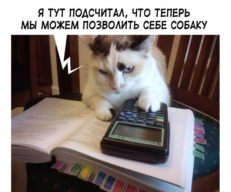 cf2gjj.webp