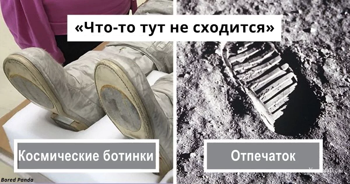 cf3dfbdc620e69d0dd4.webp