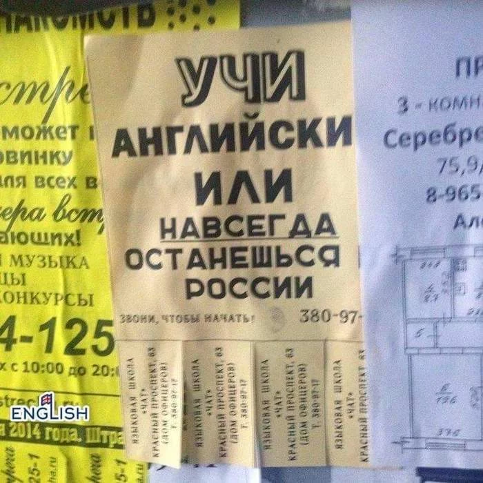 cf3fgc.webp