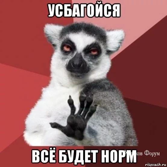 cf45d5bad8e3edc1d4d91852.webp