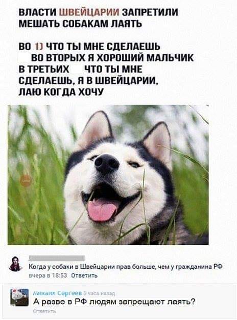 cf4aee.jpg