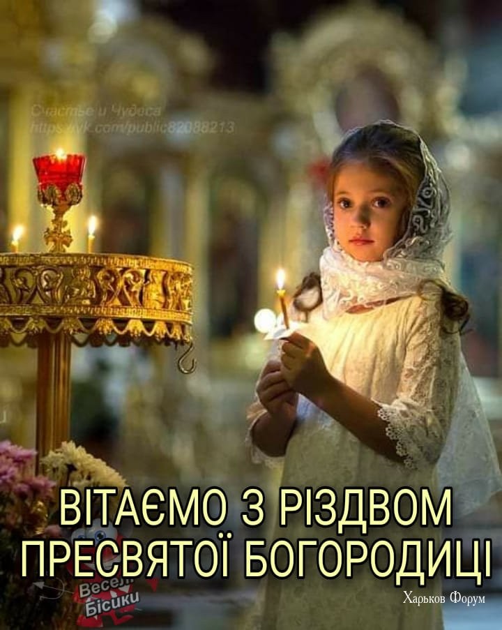cf783a1ed111838c7adddb.jpg