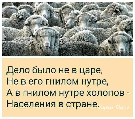cf837f46d7e6cd034710882.webp