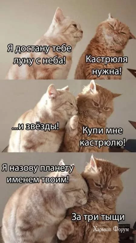 cf858667874361b415a.webp