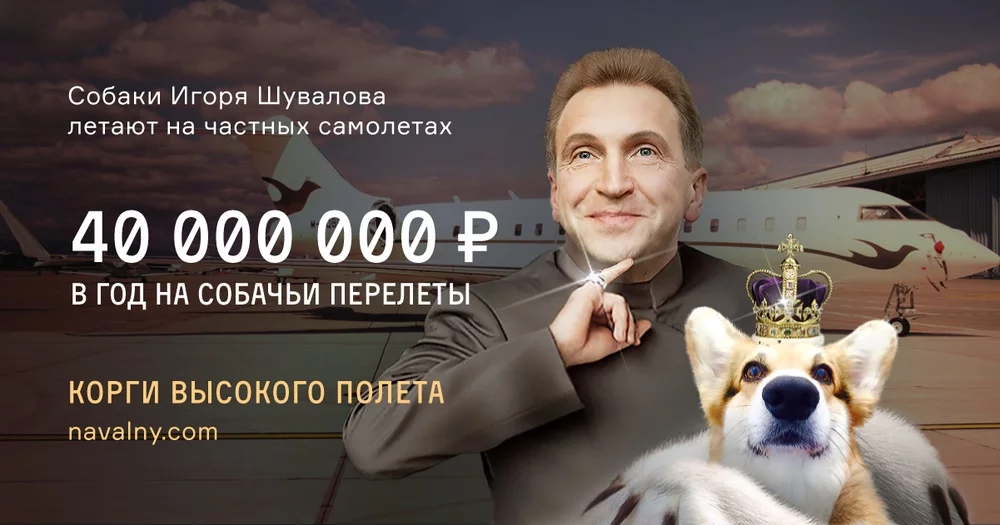 cf8678528c7e982fbeeaa4b96011a2d0.webp