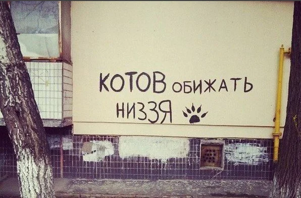 cf86ddeecd11db68798d3fb18c9b5fcd.webp