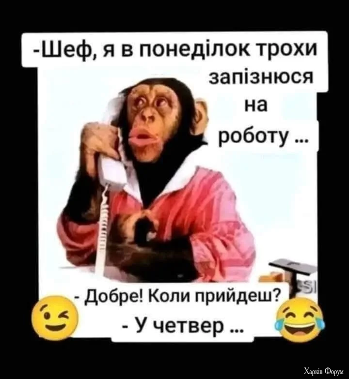 cf89d2483e79234a8bbaa7a10a9f5e50.webp