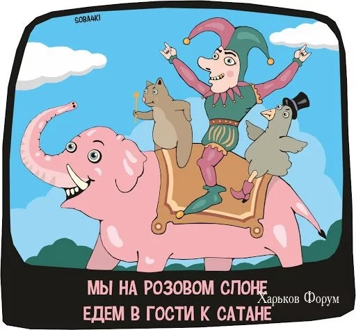 cf8d6600ba68d7cdc559.webp