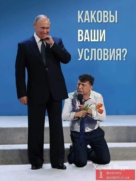 cfa1699046540f438ff.webp