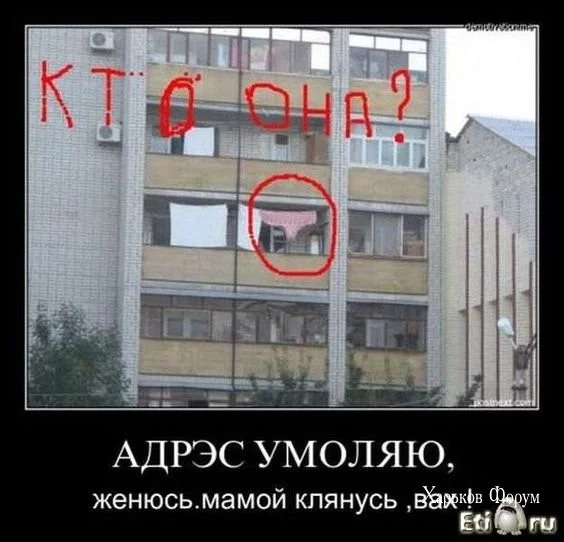 cfa5ad28806a097241cd.webp
