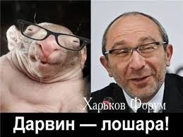 cfa72e50a938b2d77d1.jpg