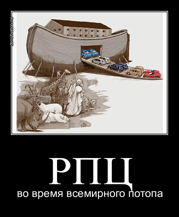 cfab5f.webp