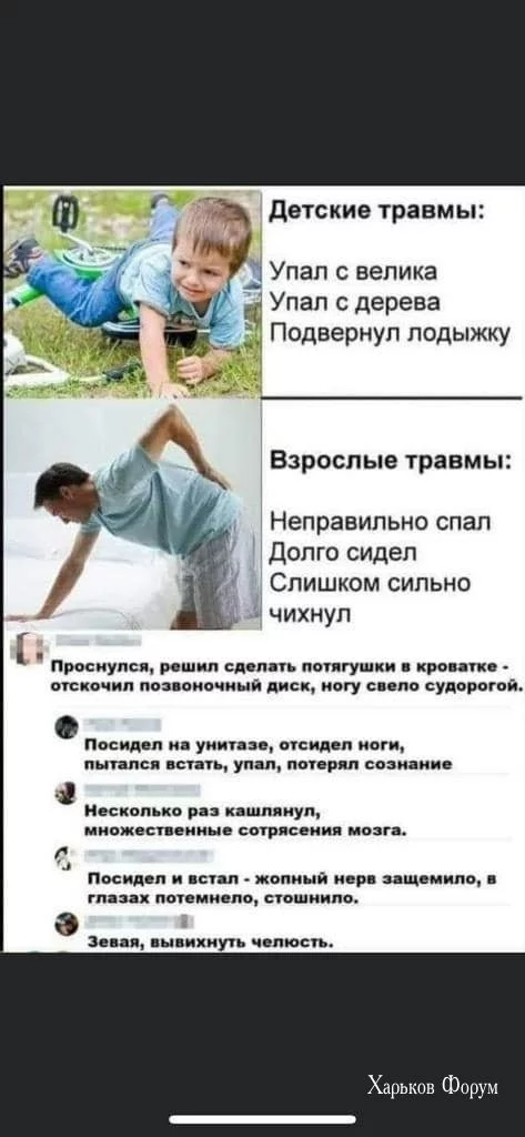 cfb17aca8545065be56b.webp