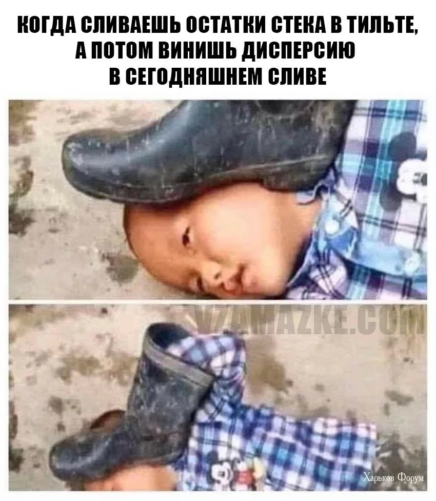 cfb3de7f9bbfd6f641.webp