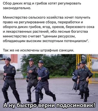 cfbe3h.webp
