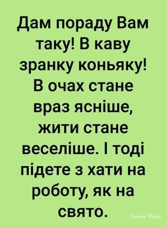 cfdec5c37c56f49403911.webp