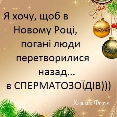 cfebd07b9ba5aba15fe20.webp