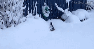 cffd85934541f5c1b7f8b8e.gif