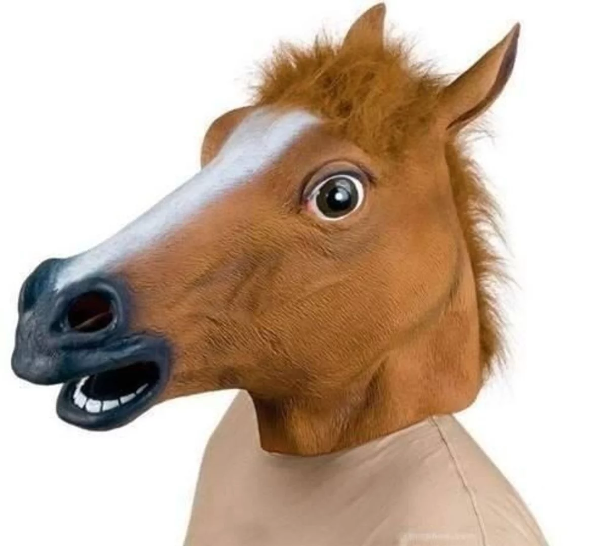 cfhf9h.webp