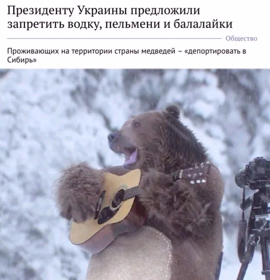 cfhfe2.webp
