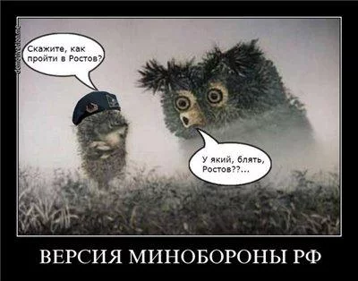 CFTuskjWgAEmQf2.webp