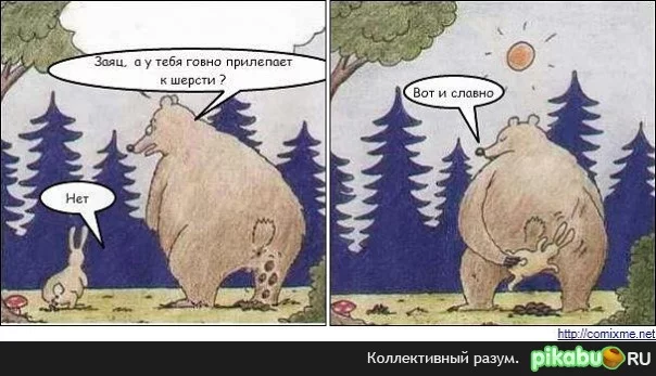 cg4gdj.webp