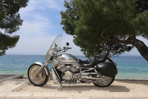 cg6bfc.webp
