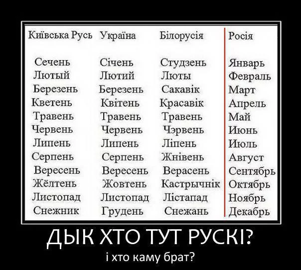 cg6dfh.webp