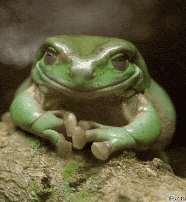 cg7dja.gif