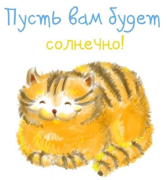 cgaba9.jpg