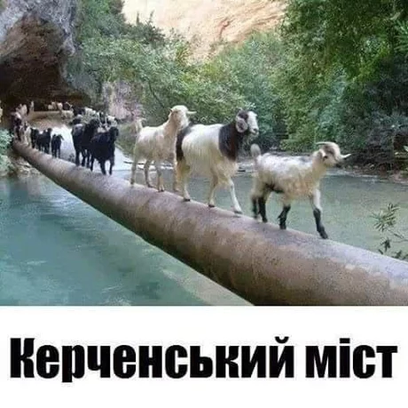 cgacj3.webp