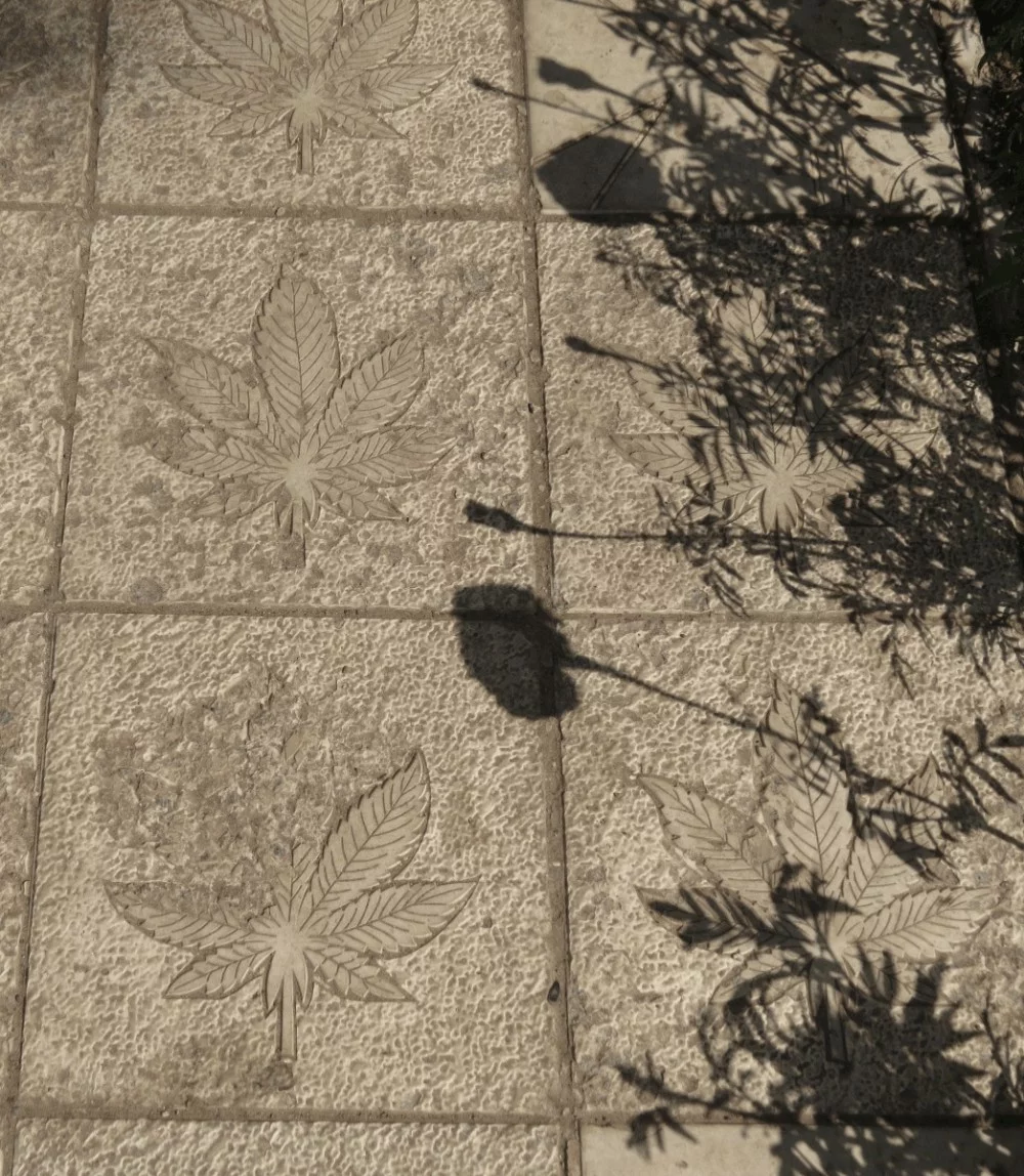 cgad0h.webp