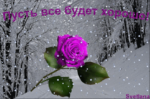 cgaec3.gif
