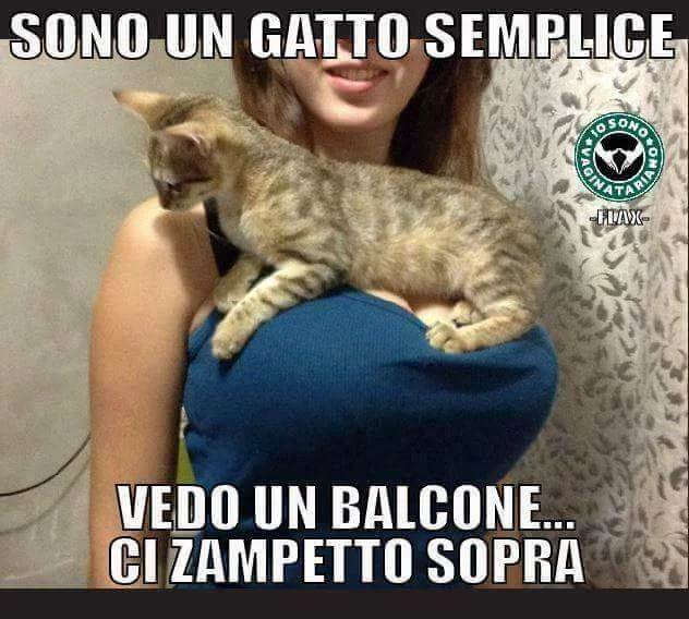 cgaj1c.webp