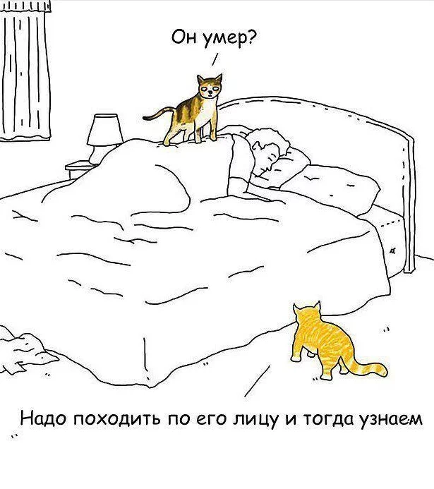 cgb7dc.webp