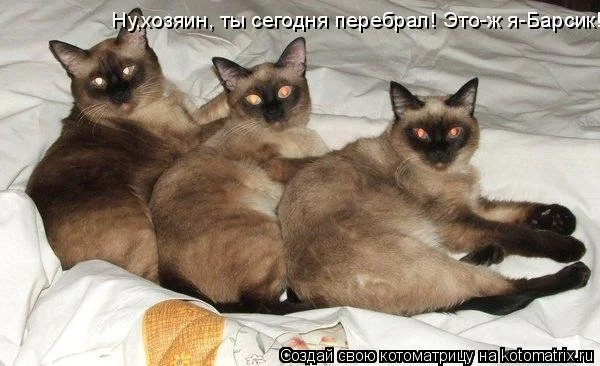 cgeba3.webp