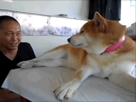 cghbh4.gif