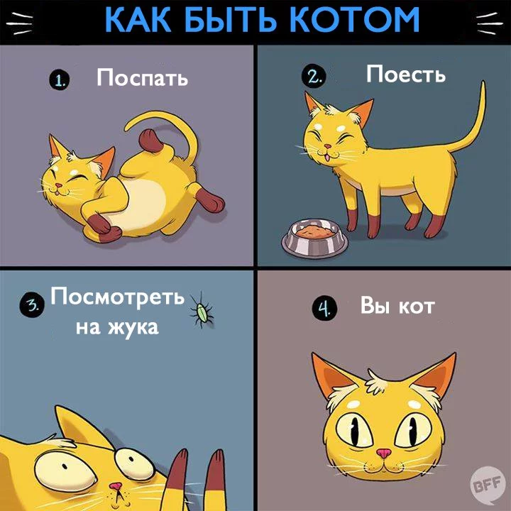 CgktHoXWYAAp2fs.webp