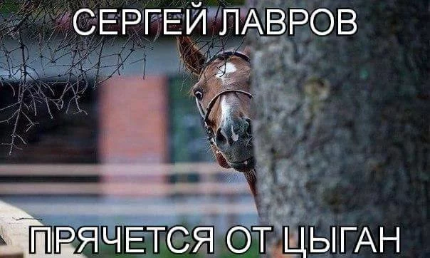 Cgo_gMwWMAE0sUr.webp