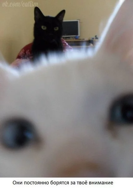 cGtOVqEV7mY.webp