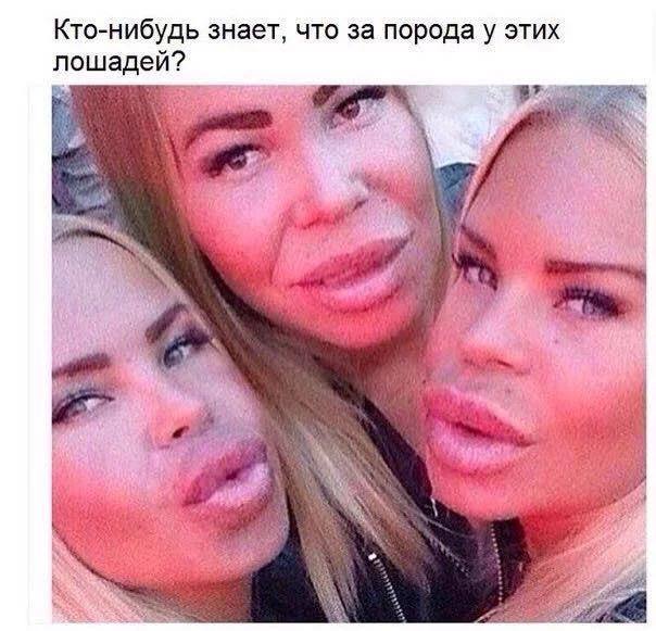 CgvYdc7WkAAd6TM.webp