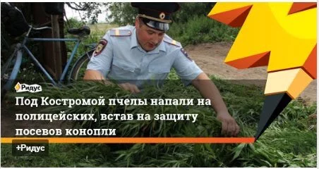 CgyUS3mWIAEHZfa.webp