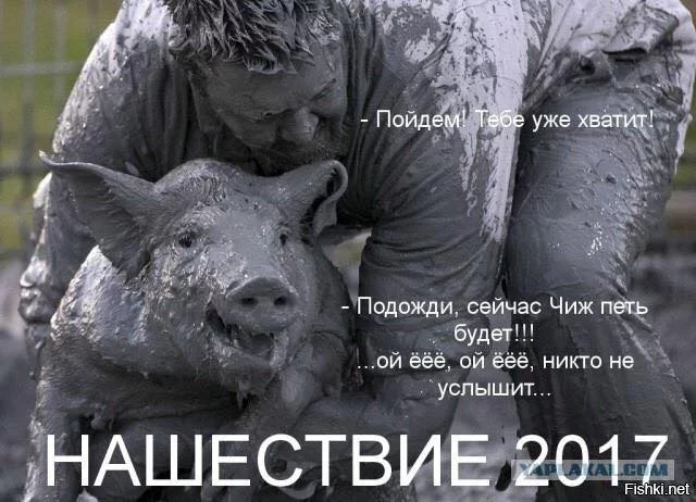 ch4ecf.webp