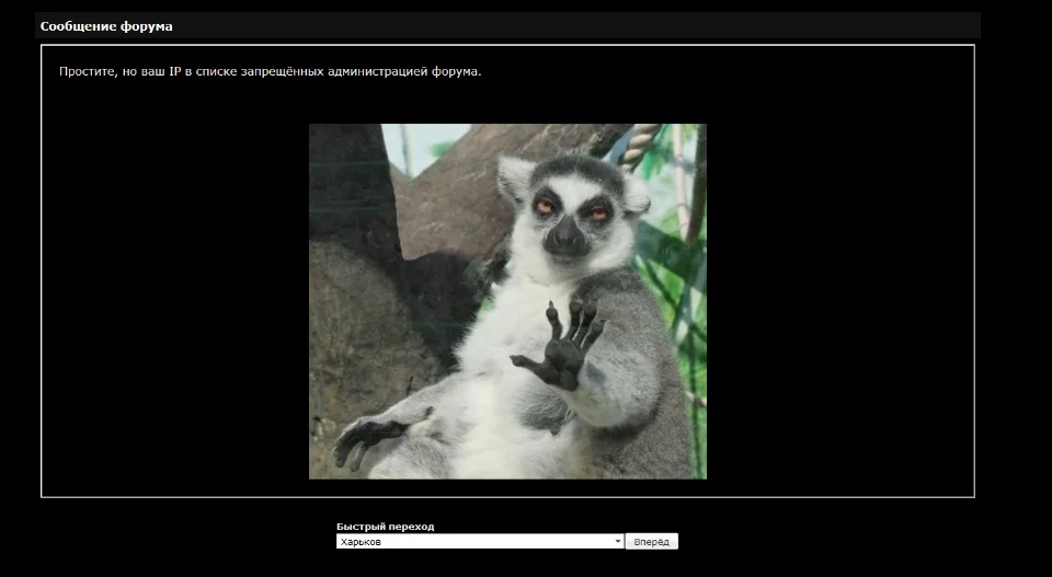 ch5hcg.webp