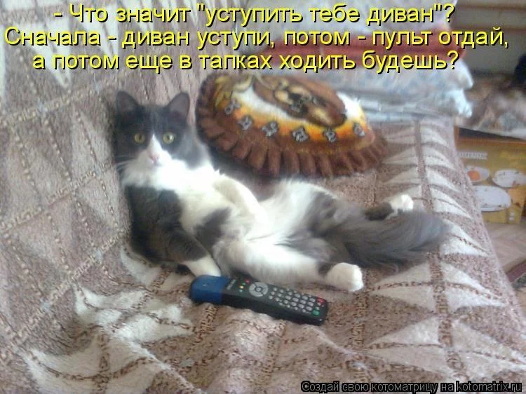 ch6jjh.webp