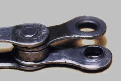 chain_wornbush.webp