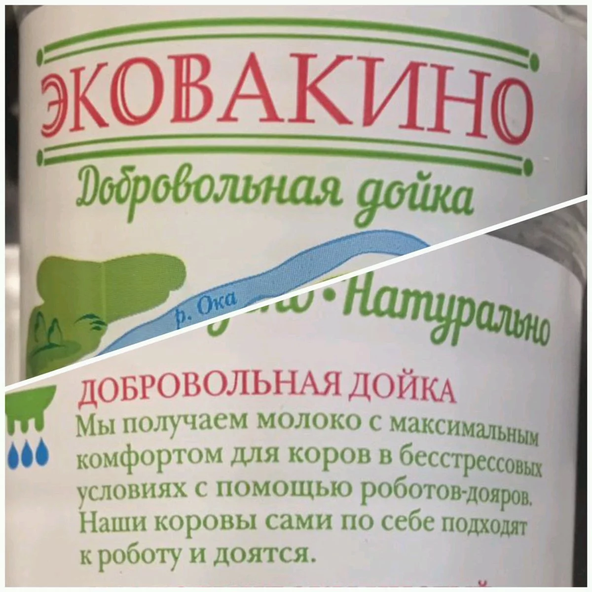 chbbf3.webp