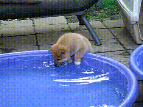 chbdf6.gif