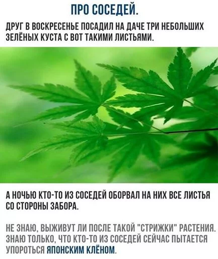 chc4jh.webp